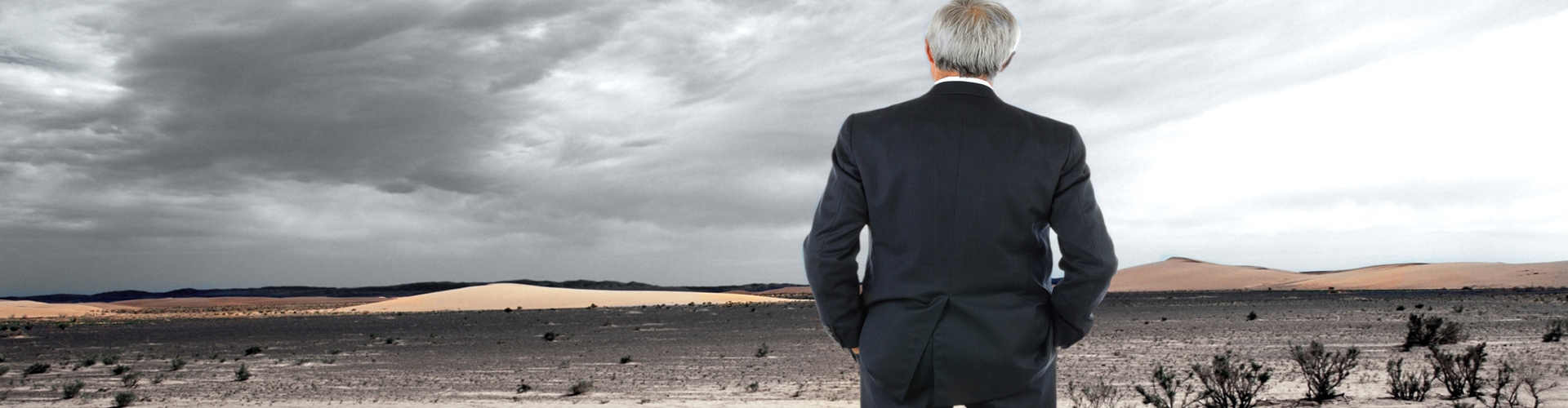 CEO Succession Planning