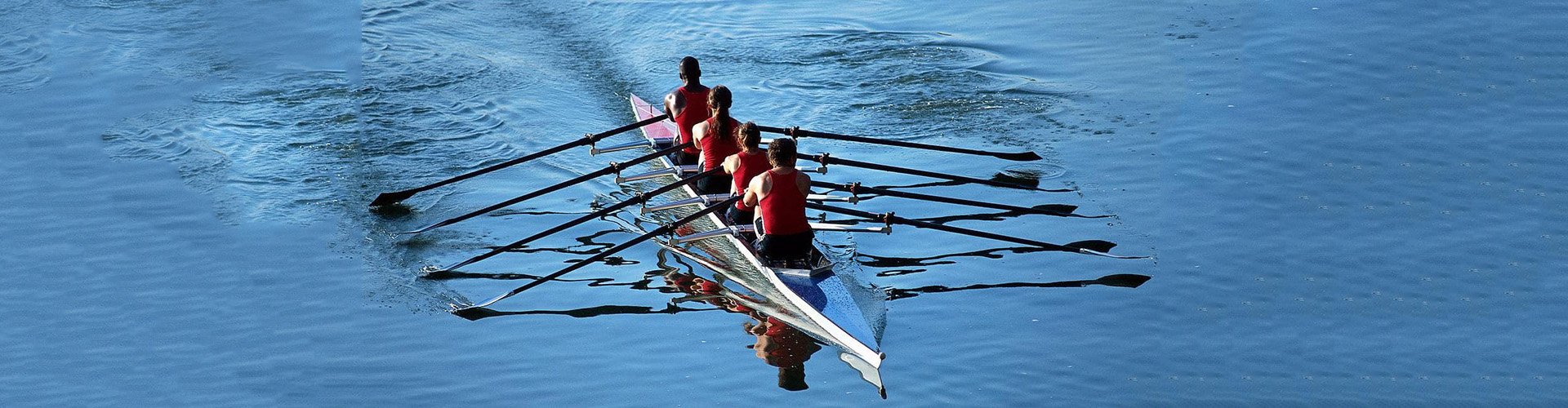 Organisational Alignment