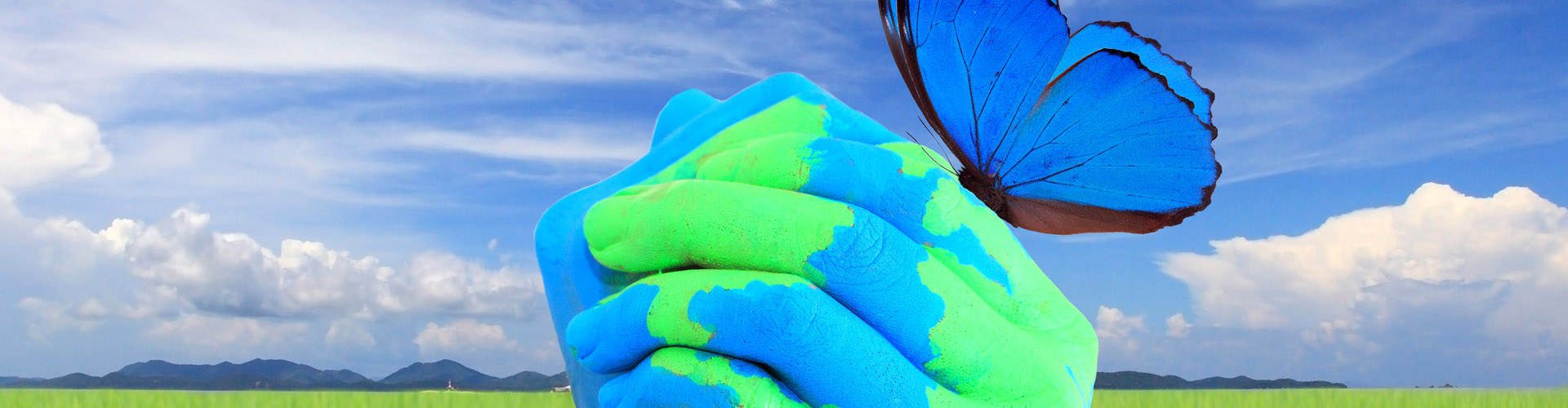 Business Model Revamping: Transform your organisation